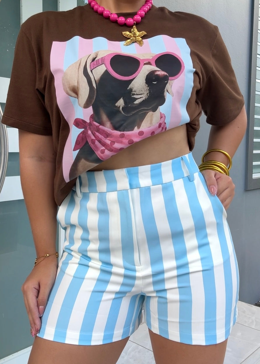 Blue Stripe High Waist Short