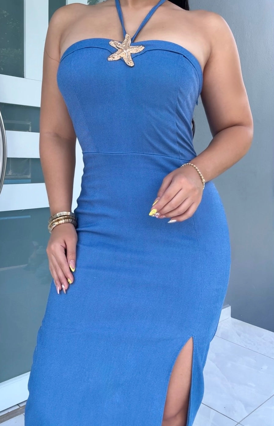 Starfish Denim Maxi Dress