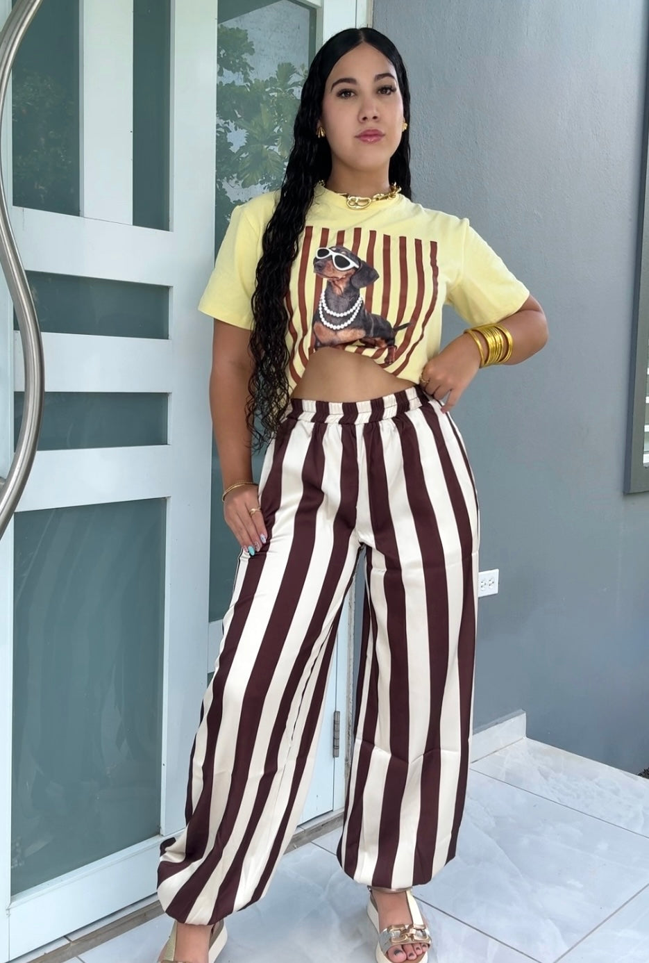 Striped Jogger Pants (dos colores disponibles)